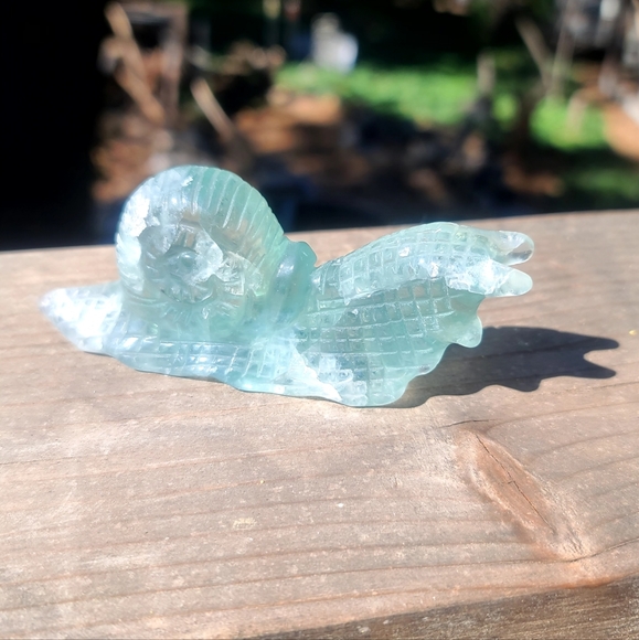 LAST ONE! Fun Green Fluorite handcarved Snail with lots of FIRE! RARE COLOR - Picture 3 of 5
